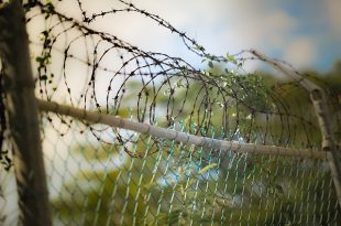 משמעות בבית כלא