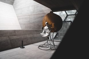 פרופסור דוד גוטמן