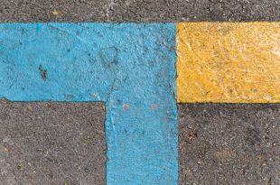 אדלר ופרנקל