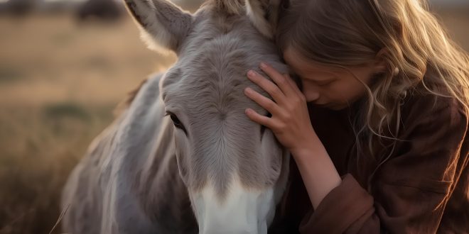 donkey