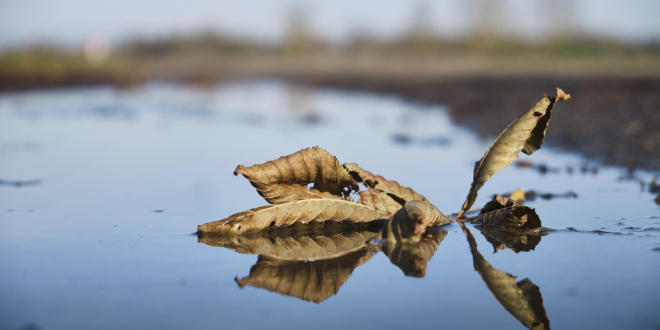 העבר של המטפל